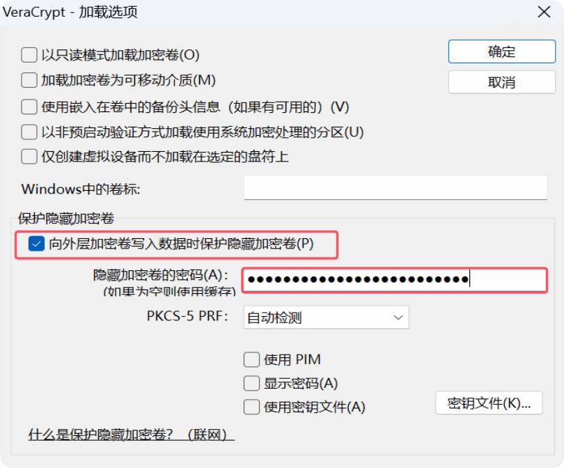 启用隐藏保护进行挂载